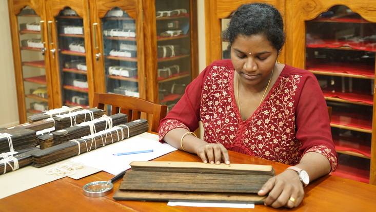 Picture from the DiPiKA project