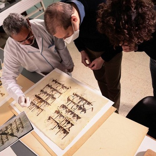 kmp-workshop-500-500 KMP